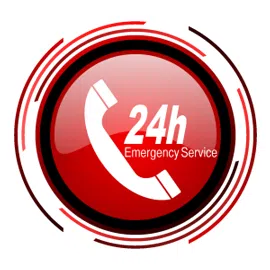 Coral Springs Restoration Expert Coral Springs, FL 954-355-0054
