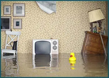 Coral Springs Restoration Expert Coral Springs, FL 954-355-0054 - city-page-water-damage