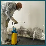 Coral Springs Restoration Expert Coral Springs, FL 954-355-0054 - mold-about