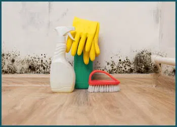 Coral Springs Restoration Expert Coral Springs, FL 954-355-0054 - mold-inner